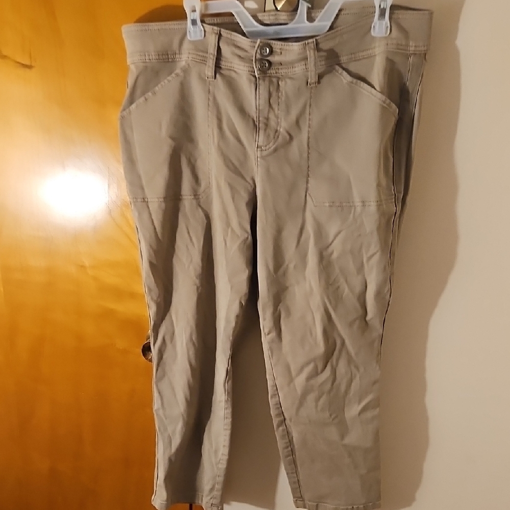 Torrid Khaki Cargo Pants